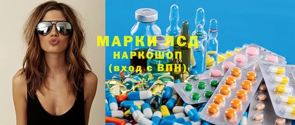 шишки Дмитровск