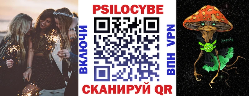 наркотики  Енисейск  Галлюциногенные грибы Psilocybe 